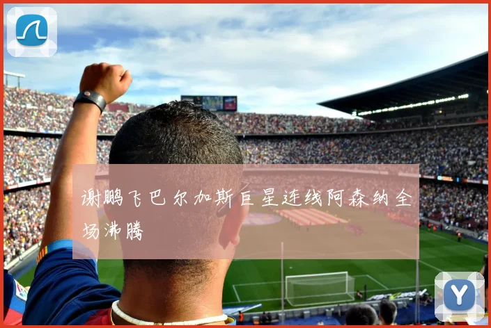 谢鹏飞巴尔加斯巨星连线阿森纳全场沸腾