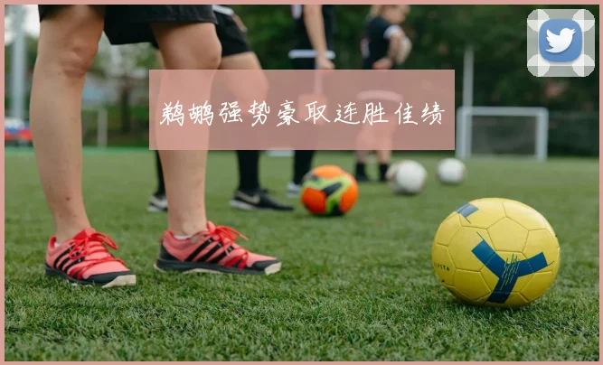 鹈鹕强势豪取连胜佳绩