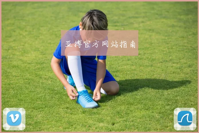 亚搏官方网站指南