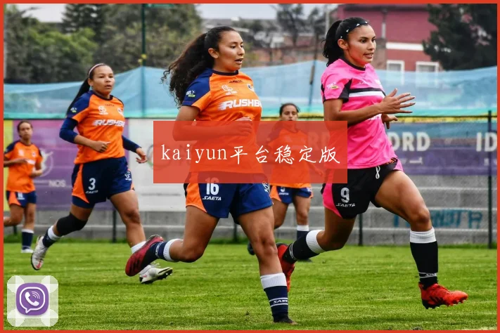 kaiyun平台稳定版