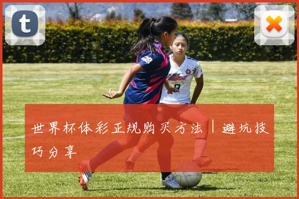 世界杯体彩正规购买方法｜避坑技巧分享