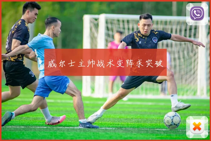 威尔士主帅战术变阵求突破