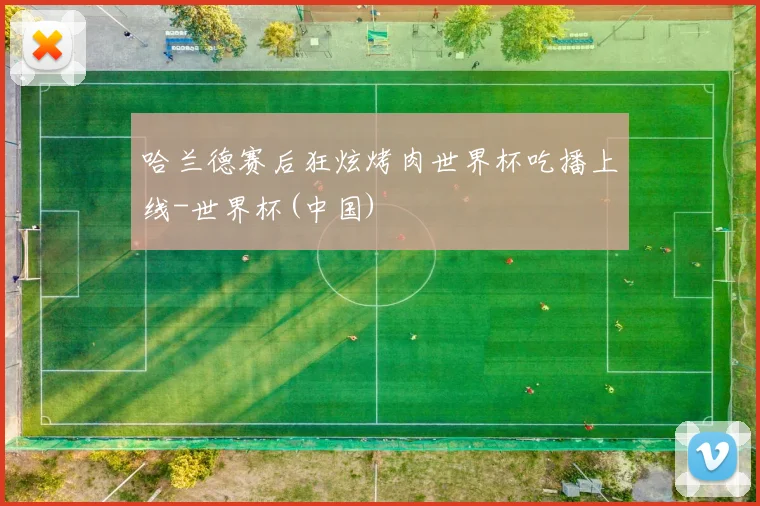 哈兰德赛后狂炫烤肉世界杯吃播上线-世界杯(中国)