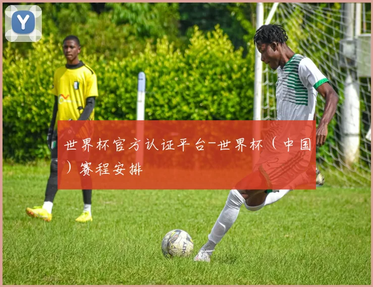世界杯官方认证平台-世界杯（中国）赛程安排