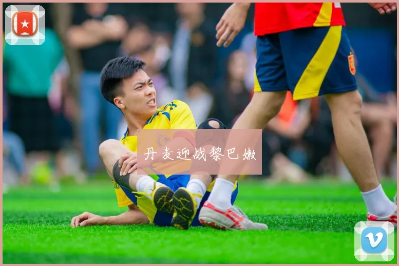 丹麦迎战黎巴嫩