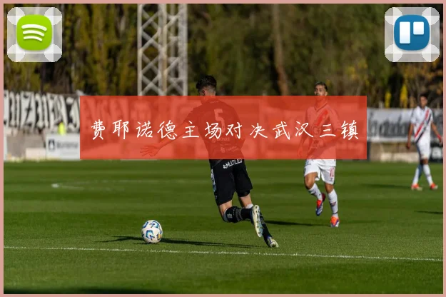 费耶诺德主场对决武汉三镇