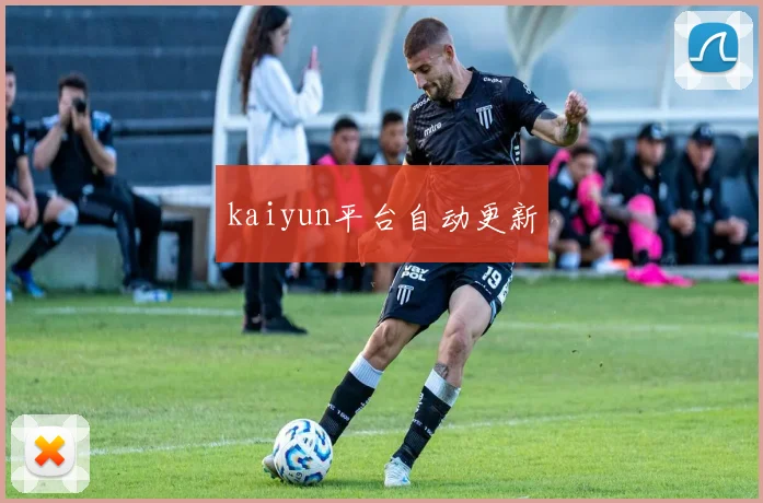 kaiyun平台自动更新