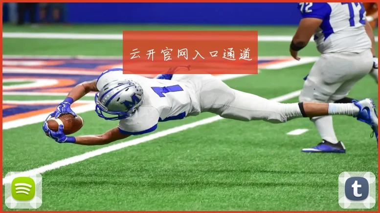 云开官网入口通道