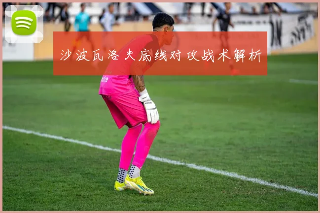 沙波瓦洛夫底线对攻战术解析