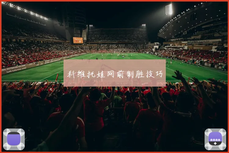 科维托娃网前制胜技巧