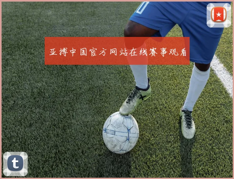 亚搏中国官方网站在线赛事观看