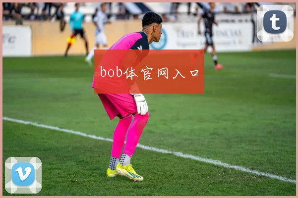 bob体官网入口