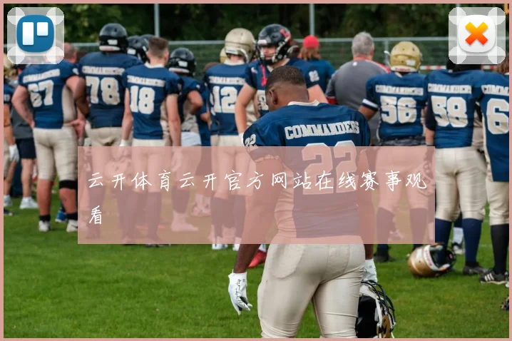 云开体育云开官方网站在线赛事观看