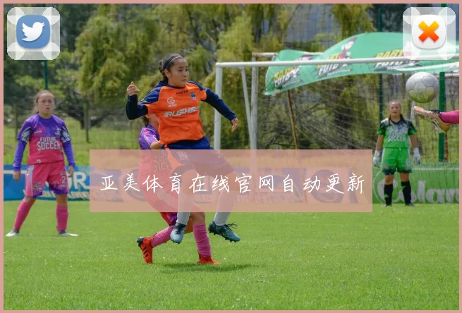 亚美体育在线官网自动更新