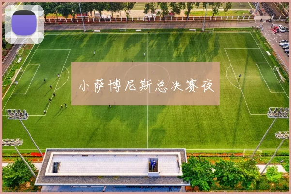 小萨博尼斯总决赛夜