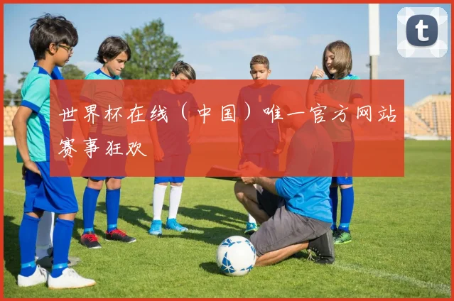 世界杯在线(中国)唯一官方网站赛事狂欢