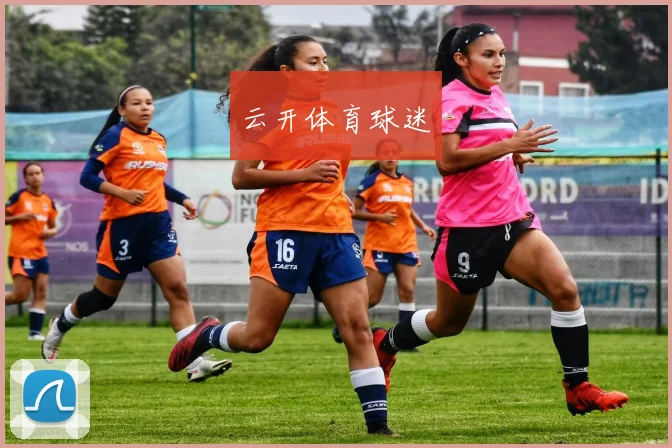 云开体育球迷