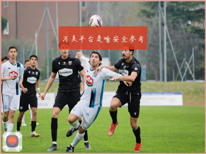 万美平台是啥安全参考