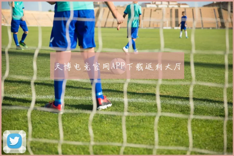 天博电竞官网APP下载返利大厅