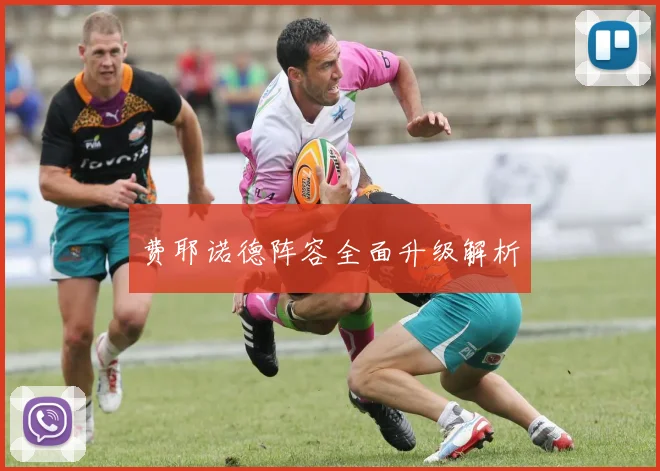 费耶诺德阵容全面升级解析