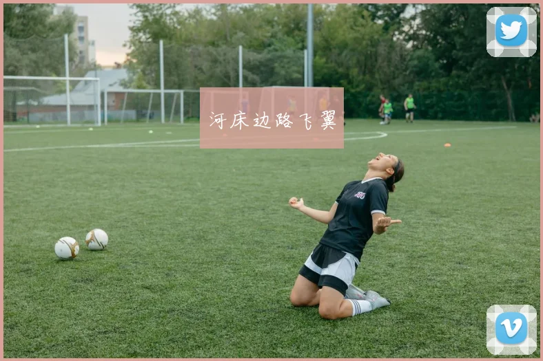 河床边路飞翼