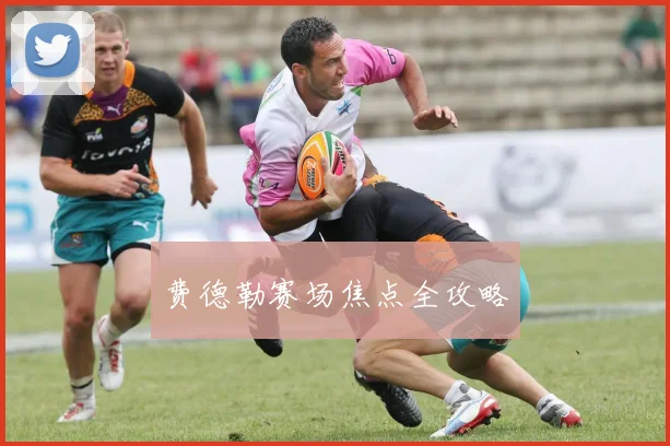 费德勒赛场焦点全攻略