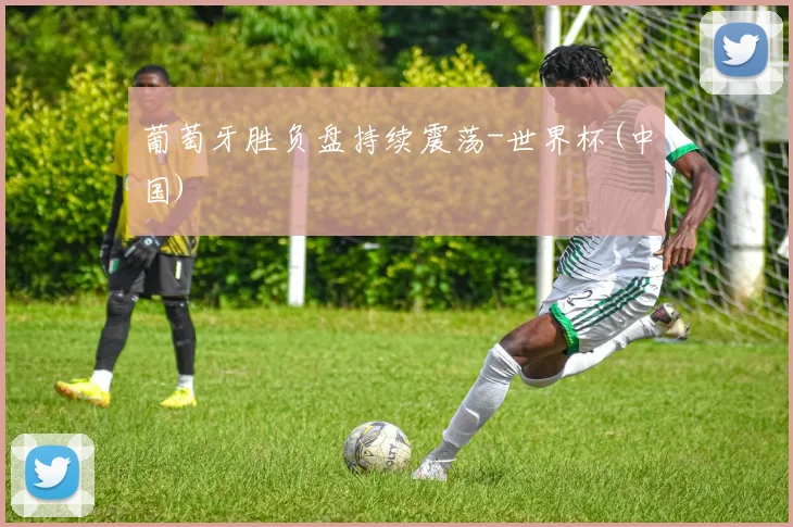 葡萄牙胜负盘持续震荡-世界杯(中国)