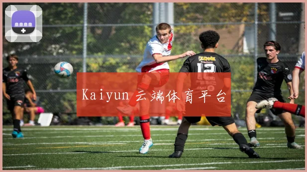 Kaiyun 云端体育平台