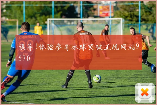 误导!体验参考冰球突破正规网站9570