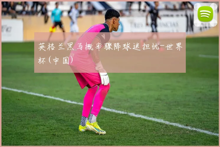 英格兰黑马概率骤降球迷担忧-世界杯(中国)