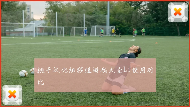 桃子汉化组移植游戏大全Li使用对比