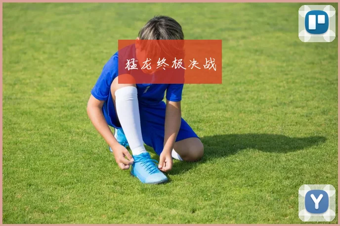 猛龙终极决战