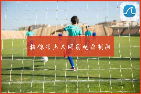 梅德韦杰夫网前绝杀制胜
