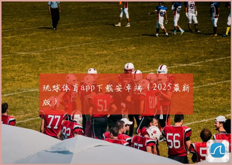 玩球体育app下载安卓端（2025最新版）