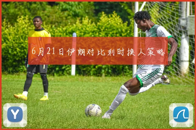6月21日伊朗对比利时换人策略