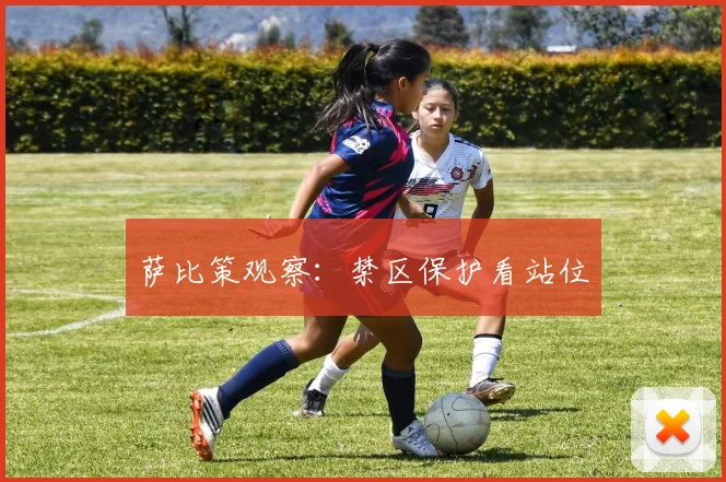 萨比策观察:禁区保护看站位