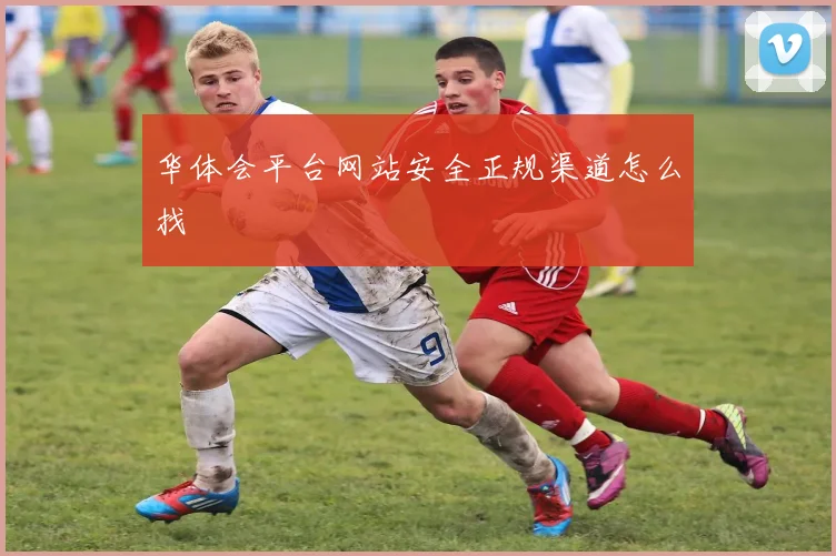 华体会平台网站安全正规渠道怎么找