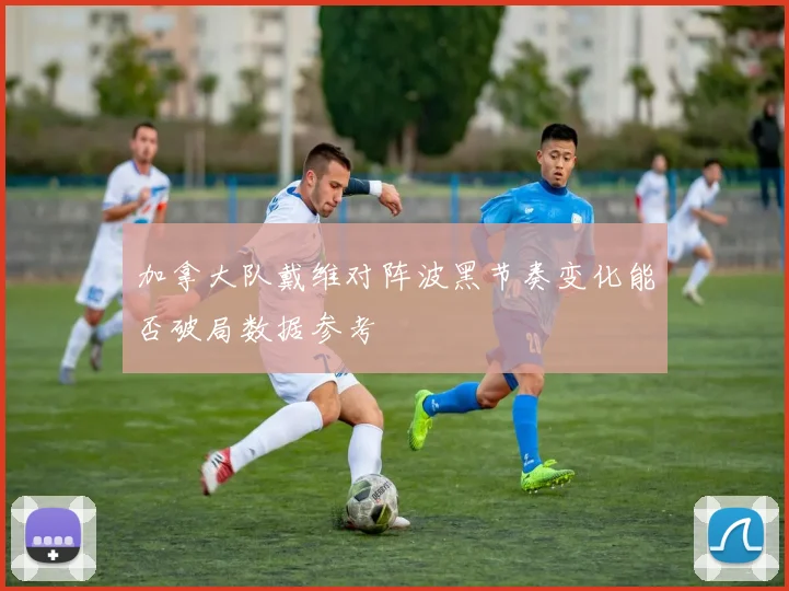加拿大队戴维对阵波黑节奏变化能否破局数据参考