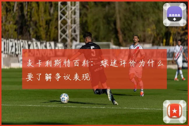 麦卡利斯特百科：球迷评价为什么要了解争议表现